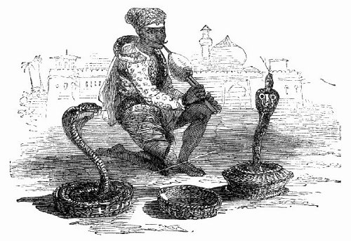 Snake-Charmers